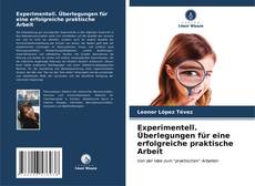 Portada del libro de Experimentell. Überlegungen für eine erfolgreiche praktische Arbeit