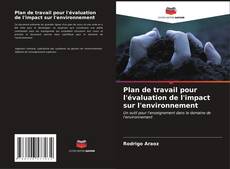 Copertina di Plan de travail pour l'évaluation de l'impact sur l'environnement