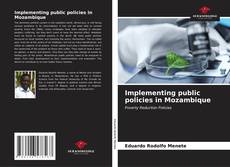 Capa do livro de Implementing public policies in Mozambique 