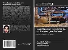 Bookcover of Investigación numérica en problemas geotécnicos