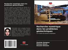 Capa do livro de Recherche numérique dans les problèmes géotechniques 
