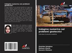 Couverture de Indagine numerica nei problemi geotecnici