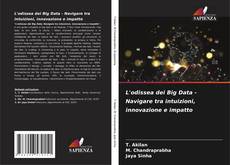 Buchcover von L'odissea dei Big Data - Navigare tra intuizioni, innovazione e impatto