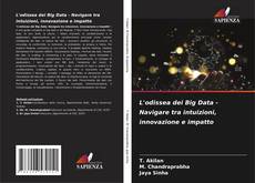 Copertina di L'odissea dei Big Data - Navigare tra intuizioni, innovazione e impatto