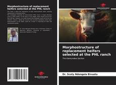 Обложка Morphostructure of replacement heifers selected at the PHL ranch