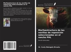 Capa do livro de Morfoestructura de las novillas de reposición seleccionadas en el rancho PHL 