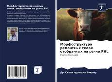 Bookcover of Морфоструктура ремонтных телок, отобранных на ранчо PHL