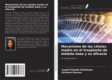 Bookcover of Mecanismo de las células madre en el trasplante de médula ósea y su eficacia