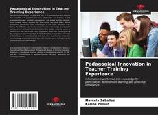 Pedagogical Innovation in Teacher Training Experience kitap kapağı