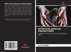 EFFECTIVE JUDICIAL PROTECTION? kitap kapağı