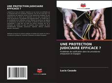 UNE PROTECTION JUDICIAIRE EFFICACE ? kitap kapağı