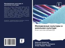 Bookcover of Молодежные культуры и школьная культура