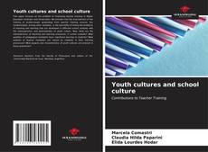 Buchcover von Youth cultures and school culture