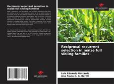 Capa do livro de Reciprocal recurrent selection in maize full sibling families 