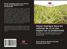 Copertina di Stress hydrique dans les cultures de riz et son impact sur la productivité