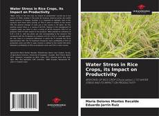 Capa do livro de Water Stress in Rice Crops, its Impact on Productivity 