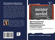 Bookcover of Дистанционное образование в муниципалитете Сидроландия
