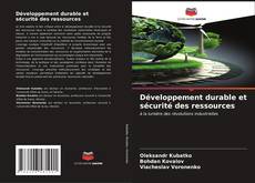 Buchcover von Développement durable et sécurité des ressources