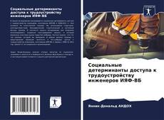 Bookcover of Социальные детерминанты доступа к трудоустройству инженеров ИЯФ-ВБ