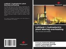 Bookcover of Lubilanji 1 hydroelectric plant bearing overheating