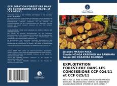 Bookcover of EXPLOITATION FORESTIERE DANS LES CONCESSIONS CCF 024/11 et CCF 025/11