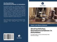 Strafrechtliches Kassationsverfahren in Kolumbien的封面