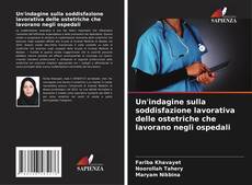 Bookcover of Un'indagine sulla soddisfazione lavorativa delle ostetriche che lavorano negli ospedali