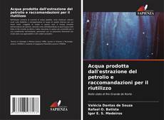 Bookcover of Acqua prodotta dall'estrazione del petrolio e raccomandazioni per il riutilizzo
