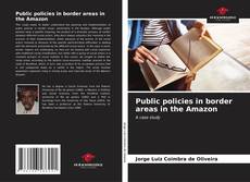 Capa do livro de Public policies in border areas in the Amazon 