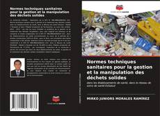 Capa do livro de Normes techniques sanitaires pour la gestion et la manipulation des déchets solides 