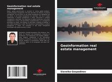 Buchcover von Geoinformation real estate management