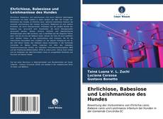Bookcover of Ehrlichiose, Babesiose und Leishmaniose des Hundes