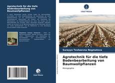 Buchcover von Agrotechnik für die tiefe Bodenbearbeitung von Baumwollpflanzen