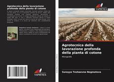 Bookcover of Agrotecnica della lavorazione profonda della pianta di cotone