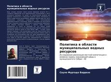 Buchcover von Политика в области муниципальных водных ресурсов