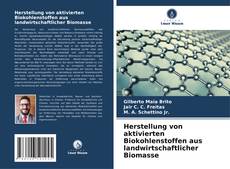 Bookcover of Herstellung von aktivierten Biokohlenstoffen aus landwirtschaftlicher Biomasse