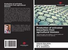 Capa do livro de Production of activated biocarbons from agricultural biomass 