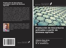 Bookcover of Producción de biocarburos activados a partir de biomasa agrícola