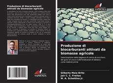 Bookcover of Produzione di biocarburanti attivati da biomasse agricole