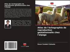Buchcover von Atlas de l'échographie de reproduction gestationnelle chez l'alpaga