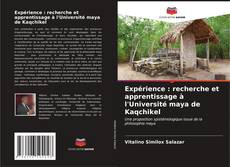 Expérience : recherche et apprentissage à l'Université maya de Kaqchikel kitap kapağı