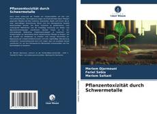 Pflanzentoxizität durch Schwermetalle kitap kapağı