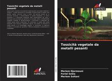 Borítókép a  Tossicità vegetale da metalli pesanti - hoz