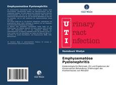 Emphysematöse Pyelonephritis kitap kapağı