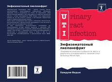 Buchcover von Эмфизематозный пиелонефрит