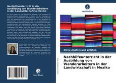 Обложка Nachhilfeunterricht in der Ausbildung von Wanderarbeitern in der Landwirtschaft in Mexiko