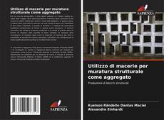 Bookcover of Utilizzo di macerie per muratura strutturale come aggregato