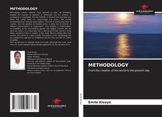 METHODOLOGY kitap kapağı