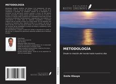 METODOLOGÍA kitap kapağı