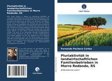 Bookcover of Pluriaktivität in landwirtschaftlichen Familienbetrieben in Morro Redondo, RS